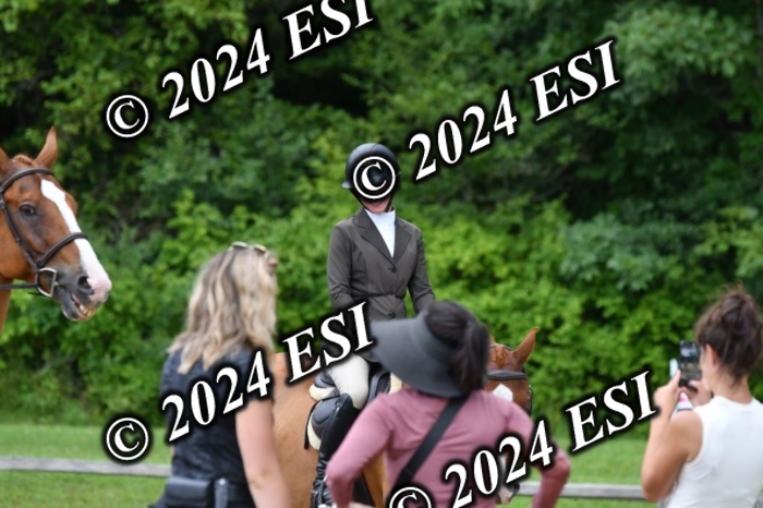 888560DK1_6113